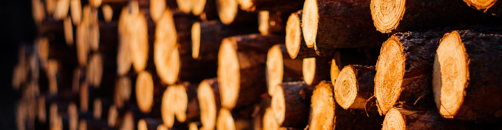 Wood Quality