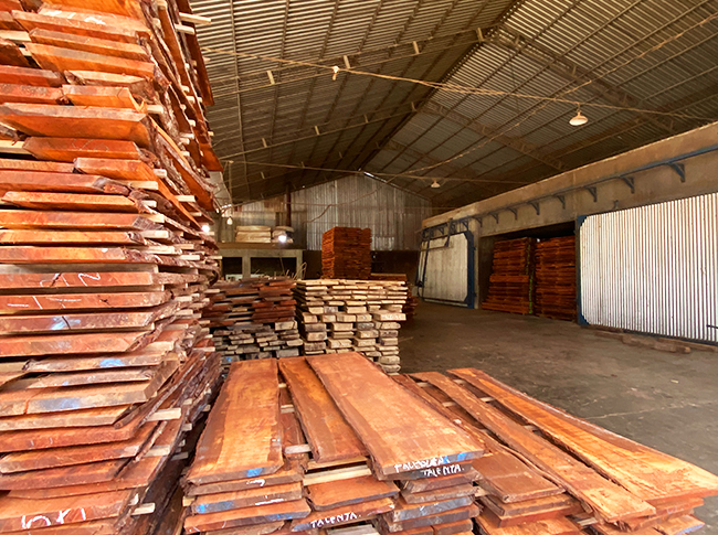 Wood Quality