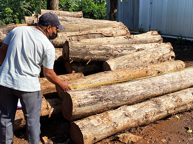 Wood Quality