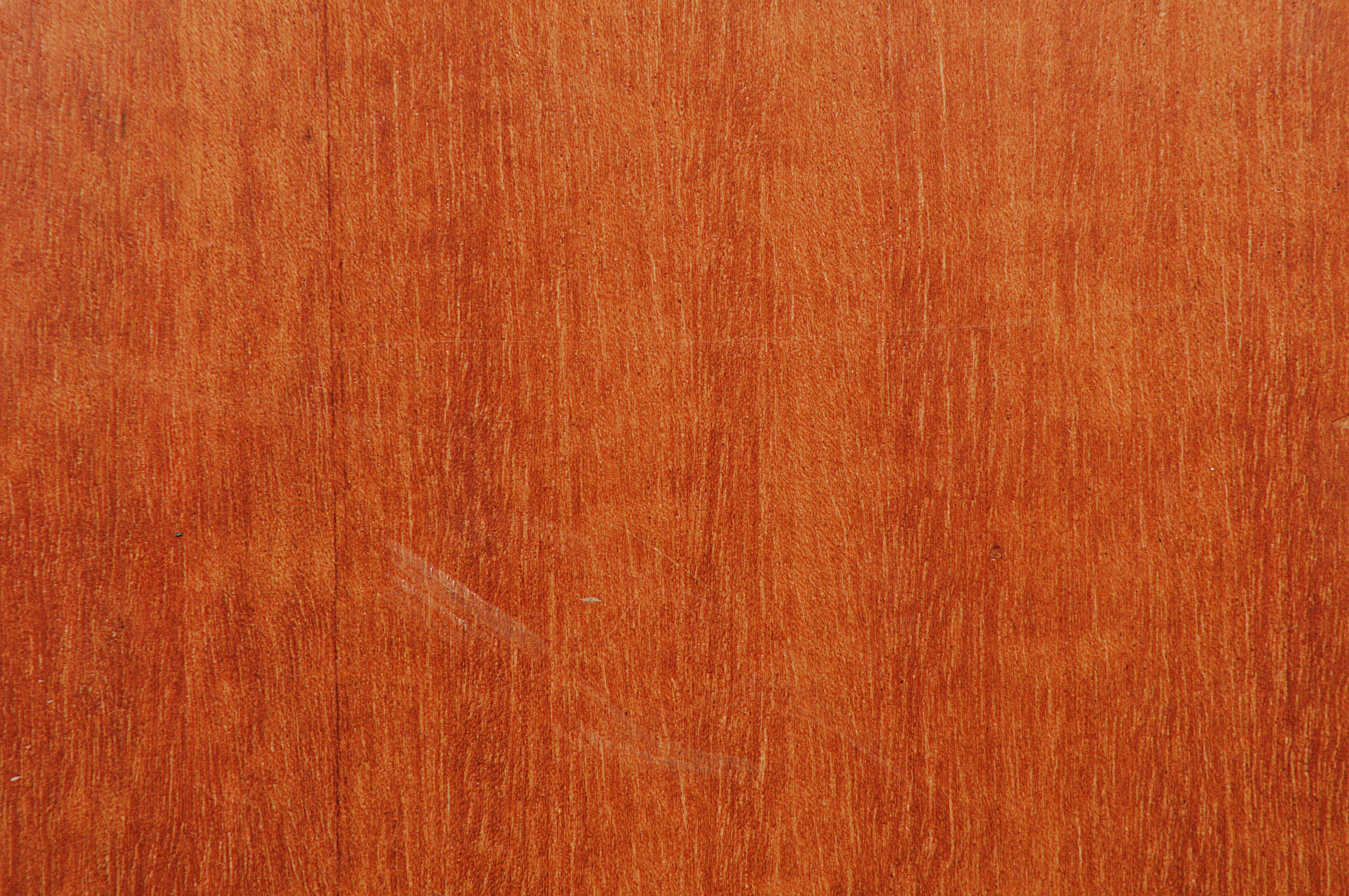 Merbau: The Ironwood